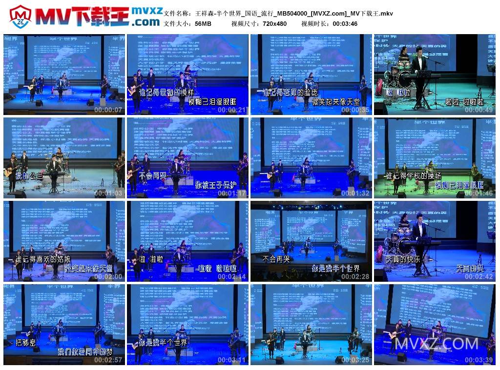 王祥森-半个世界_国语_流行_MB504000